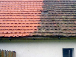 Odstranění mechu z taškové krytiny ( Jihočeský kraj okres Tábor)