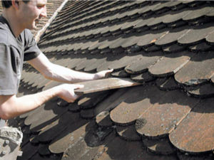 Oprava taškové krytiny ( Jihočeský kraj okres České Budějovice)